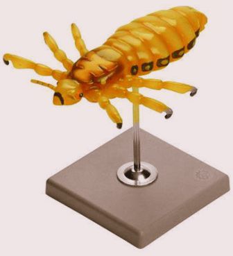 Geplaatst op 16 oktober 2008