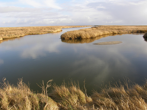 Geplaatst op 19 oktober 2008  a
