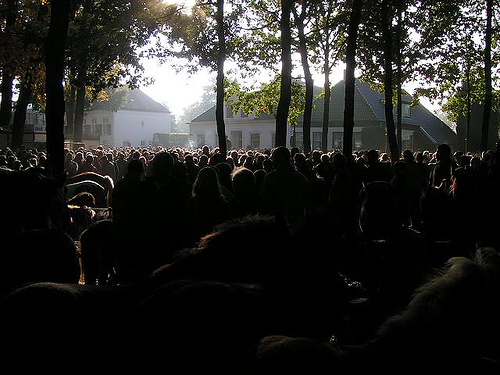 Geplaatst op 21 oktober 2008  a