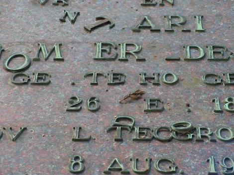 KONICA MINOLTA DIGITAL CAMERA