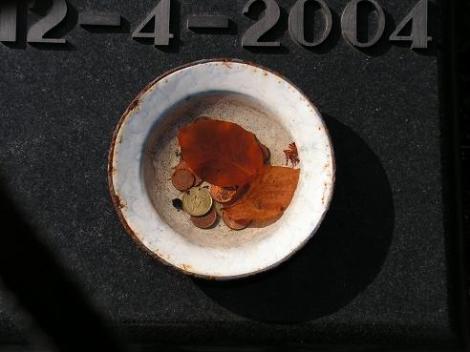 KONICA MINOLTA DIGITAL CAMERA