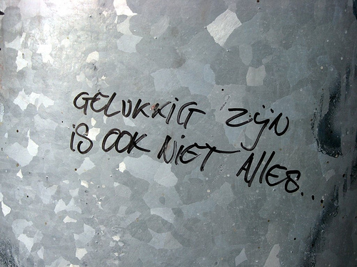 Geplaatst op 28 oktober 2008  geluk