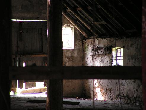 KONICA MINOLTA DIGITAL CAMERA