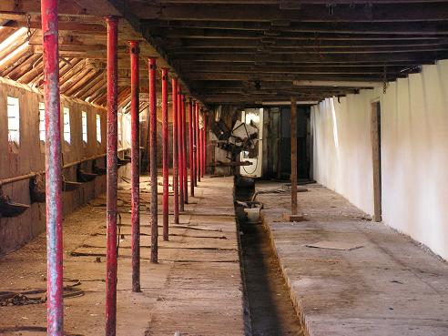 KONICA MINOLTA DIGITAL CAMERA