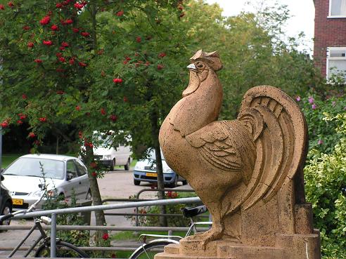 KONICA MINOLTA DIGITAL CAMERA