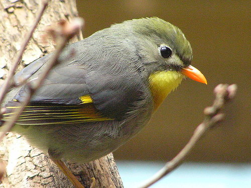 Geplaatst op 30 november 2008