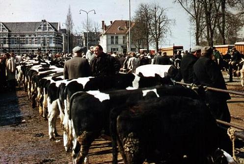 Geplaatst op 12 december 2008 c