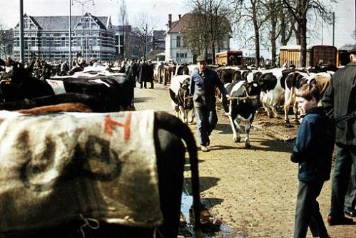 Geplaatst op 12 december 2008 d