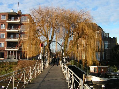 KONICA MINOLTA DIGITAL CAMERA