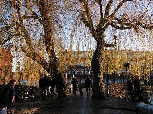 KONICA MINOLTA DIGITAL CAMERA