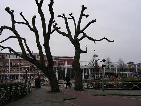 KONICA MINOLTA DIGITAL CAMERA