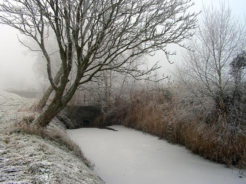 KONICA MINOLTA DIGITAL CAMERA