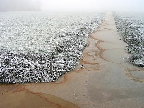 KONICA MINOLTA DIGITAL CAMERA