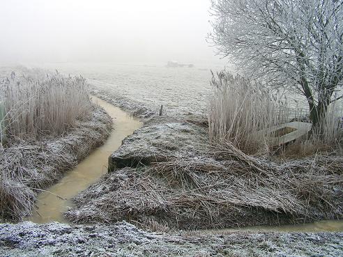 KONICA MINOLTA DIGITAL CAMERA