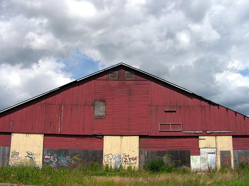 KONICA MINOLTA DIGITAL CAMERA