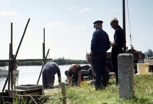 Geplaatst op 11 februari 2009  a