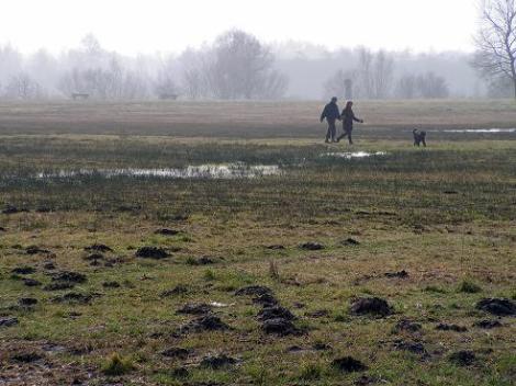 KONICA MINOLTA DIGITAL CAMERA