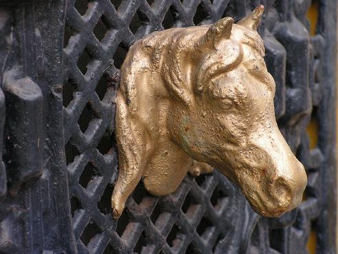 KONICA MINOLTA DIGITAL CAMERA