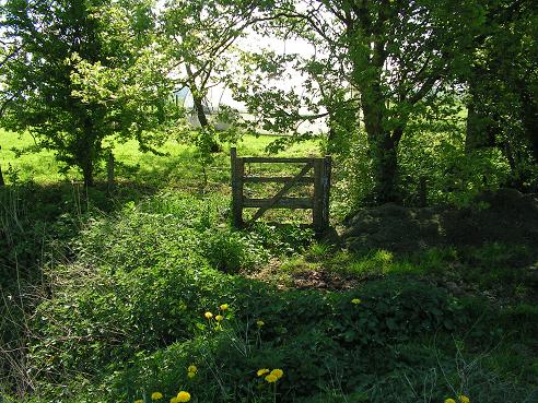 KONICA MINOLTA DIGITAL CAMERA