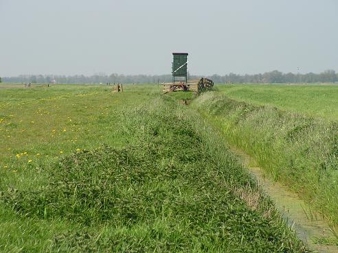 KONICA MINOLTA DIGITAL CAMERA