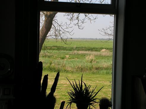 KONICA MINOLTA DIGITAL CAMERA