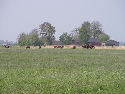 KONICA MINOLTA DIGITAL CAMERA