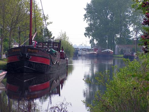 KONICA MINOLTA DIGITAL CAMERA