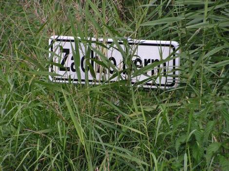 KONICA MINOLTA DIGITAL CAMERA