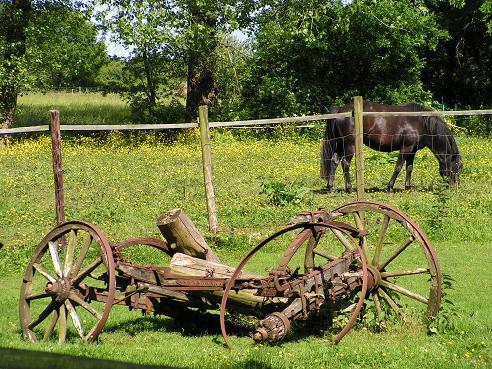 KONICA MINOLTA DIGITAL CAMERA