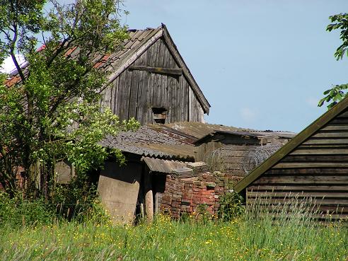 KONICA MINOLTA DIGITAL CAMERA