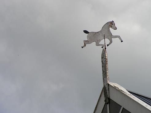 KONICA MINOLTA DIGITAL CAMERA