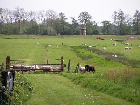 KONICA MINOLTA DIGITAL CAMERA