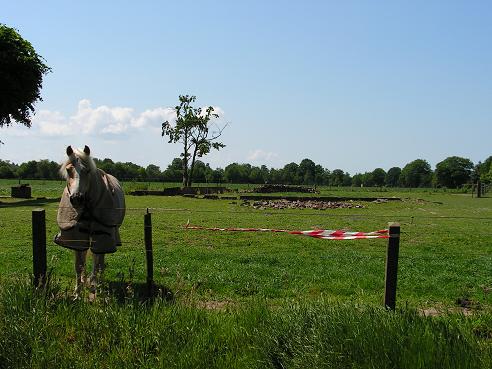 KONICA MINOLTA DIGITAL CAMERA