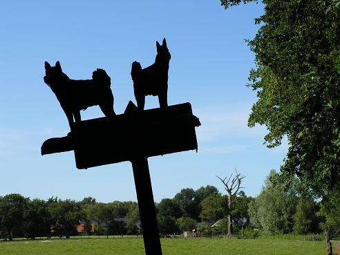 KONICA MINOLTA DIGITAL CAMERA