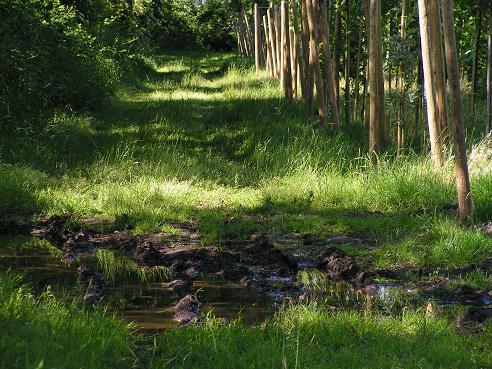 KONICA MINOLTA DIGITAL CAMERA