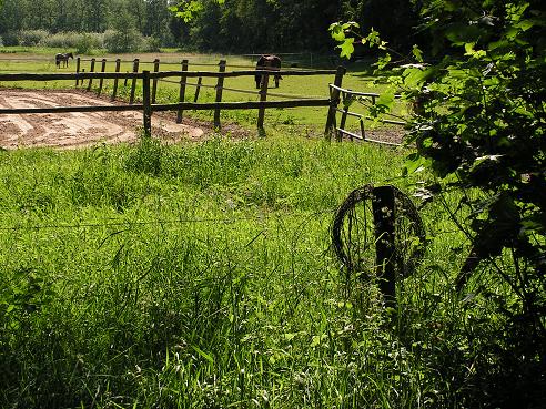 KONICA MINOLTA DIGITAL CAMERA