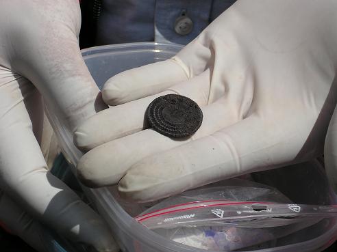 KONICA MINOLTA DIGITAL CAMERA