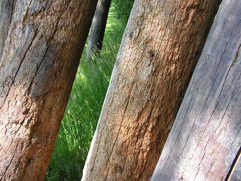 KONICA MINOLTA DIGITAL CAMERA