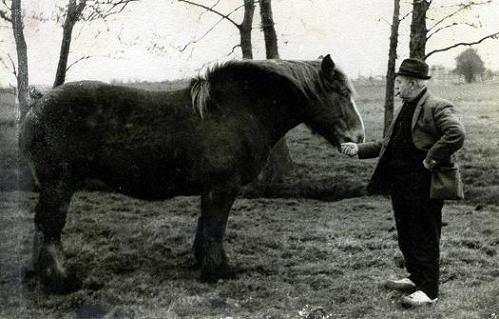 Geplaatst op 26 juni 2009  b