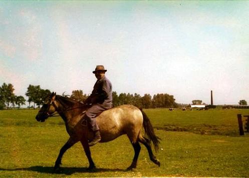 Geplaatst op 26 juni 2009  c