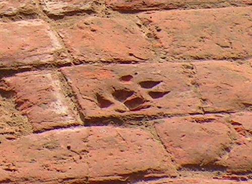 KONICA MINOLTA DIGITAL CAMERA