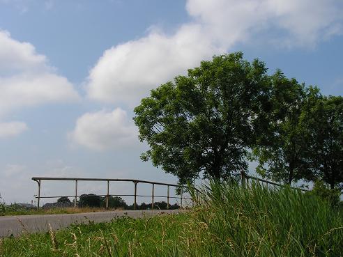 KONICA MINOLTA DIGITAL CAMERA