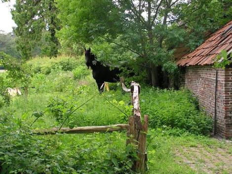 KONICA MINOLTA DIGITAL CAMERA