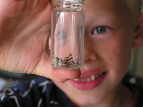 KONICA MINOLTA DIGITAL CAMERA