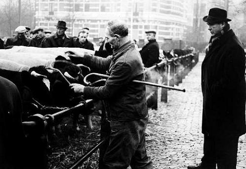 Geplaatst op 13 juli 2009  a