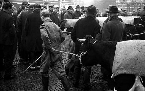 Geplaatst op 13 juli 2009  d