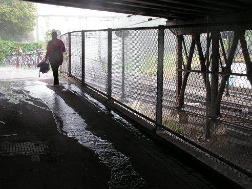 KONICA MINOLTA DIGITAL CAMERA