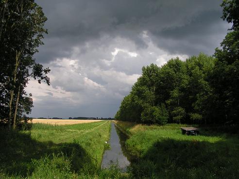 KONICA MINOLTA DIGITAL CAMERA