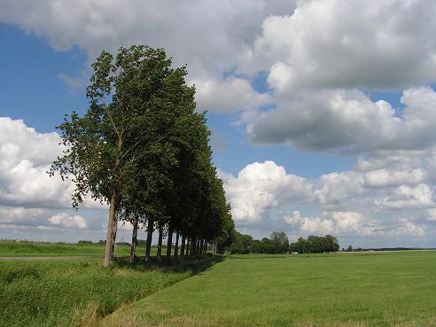 KONICA MINOLTA DIGITAL CAMERA