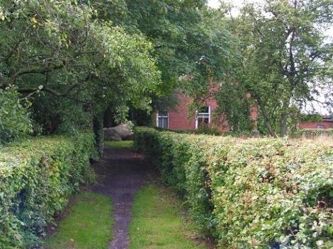 KONICA MINOLTA DIGITAL CAMERA